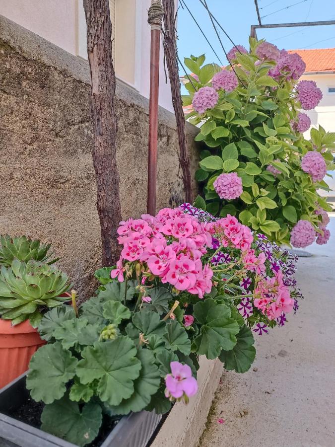 Apartman Gallery Freya Zadar Zewnętrze zdjęcie